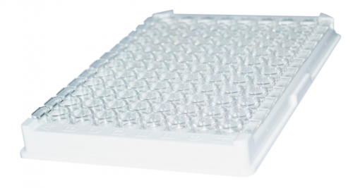 GA Corona test_0.png