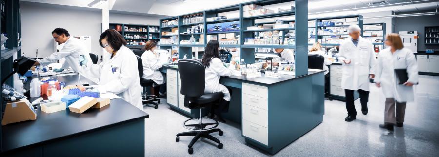 img_about-e1552490166304 Meridian_0.jpg