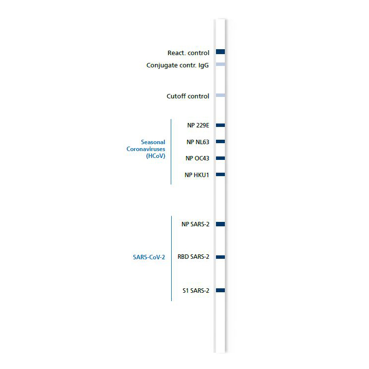 Mikrogen Covid blot vierkant.jpg