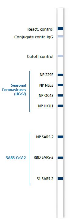 Mikrogen Covid blot.JPG