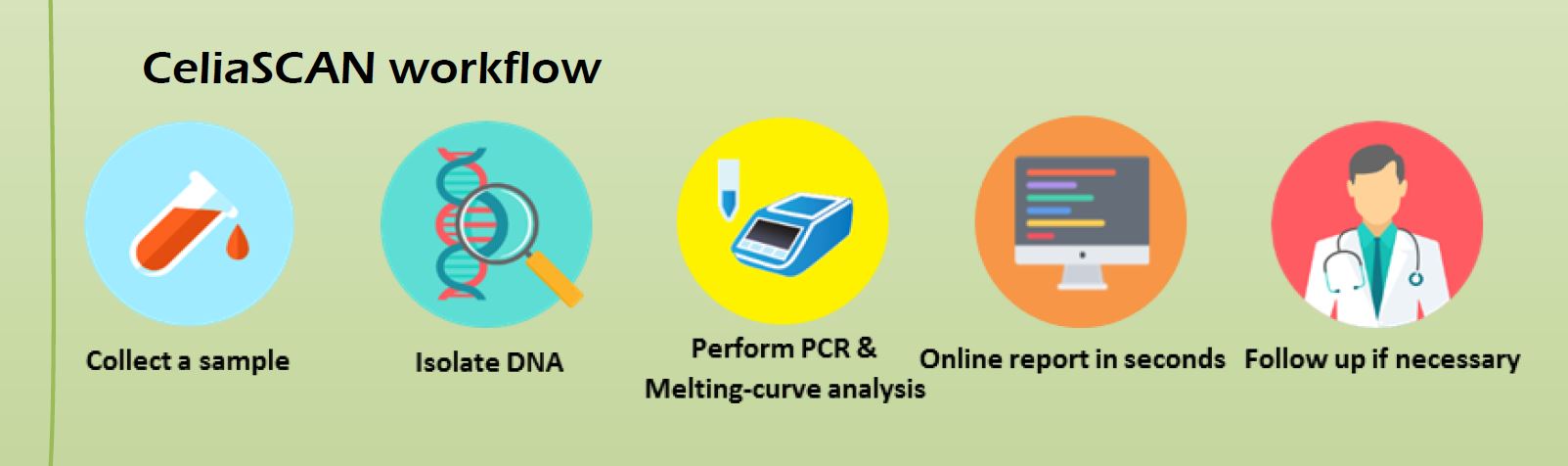 CeliaSCAN workflow.JPG