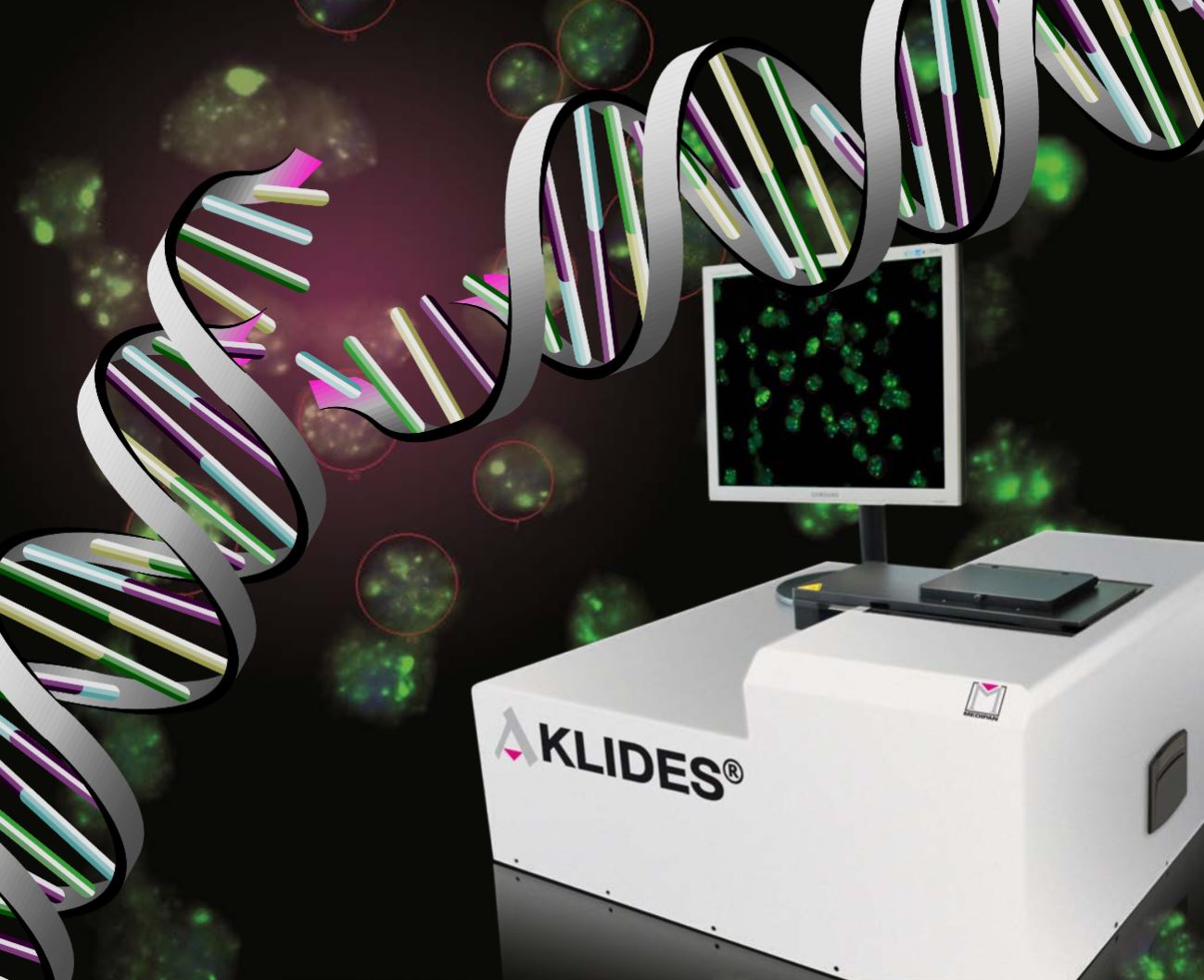 Aklides Cell damage.JPG