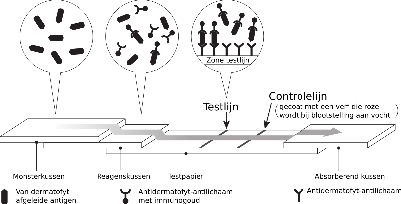 prc_img_strip_1 - NL.png